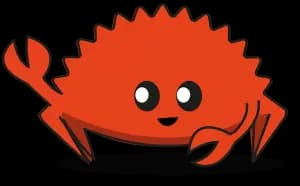 Affidati ad uno dei maggiori esperti di Rust in Italia